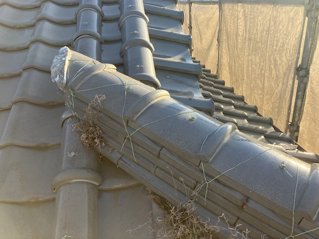 草だらけの棟・別箇所